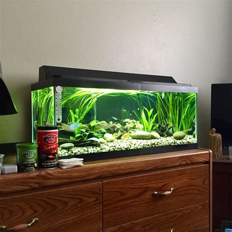 20 gallon long fish tanks.